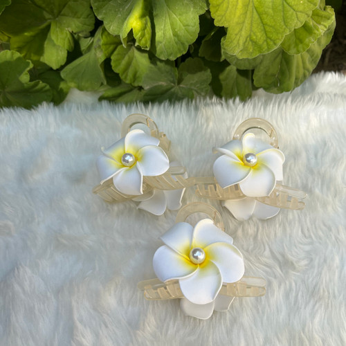 کلیپس گل پلومریا